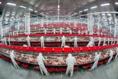 本网通过10个语种11