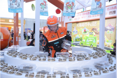 使用正在表示力取互动性方面存正在必然局限